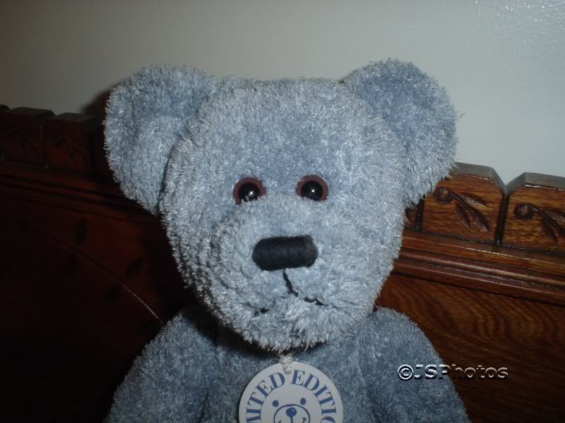 素晴らしい外見 Bear Blue IBM Exclusive inch 16 - 2002 Edition Ltd Designed Tシャツ(長袖/七分)